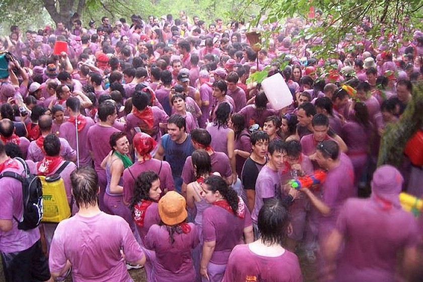 Wijn douches in Jumilla - Van Dam Estates