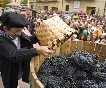 Wijn douches in Jumilla - Van Dam Estates