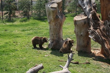 Interactie met dieren in Terra Natura in Murcia - Van Dam Estates