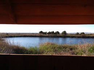 Het bijna vergeten natuurgebied van Lagunas del Monte - Van Dam Estates