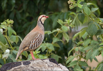 Het bijna vergeten natuurgebied van Lagunas del Monte - Van Dam Estates