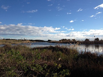 The almost forgotten nature reserve of Lagunas del Monte - Van Dam Estates