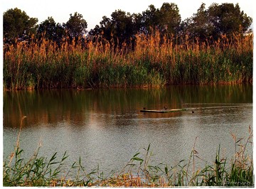 Das fast vergessene Naturschutzgebiet Lagunas del Monte - Van Dam Estates