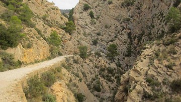 Rutas verdes para caminar y andar en bicicleta - Van Dam Estates