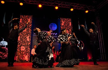 Flamenco festival for the golden melon - Van Dam Estates