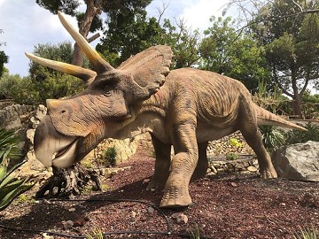 Escrito en la arena después de restos de dinosaurios - Van Dam Estates