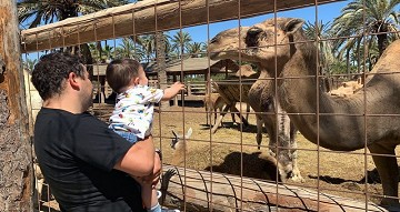 Rio-Safari Elche im Grünen - Van Dam Estates