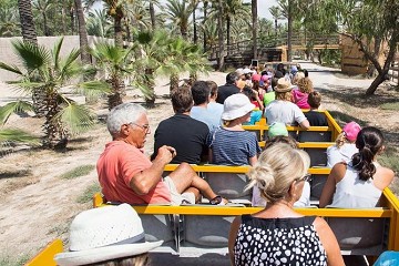 Rio-Safari Elche im Grünen - Van Dam Estates