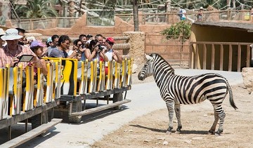 Rio safari Elche en el verde - Van Dam Estates