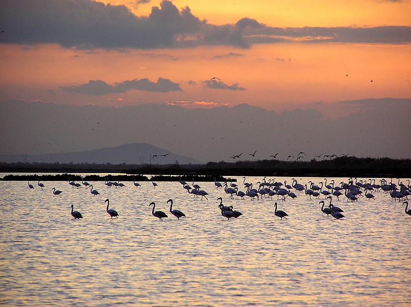 Zout en natuur in balans in Santa Pola - Van Dam Estates