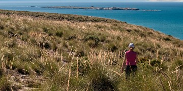 Zout en natuur in balans in Santa Pola - Van Dam Estates