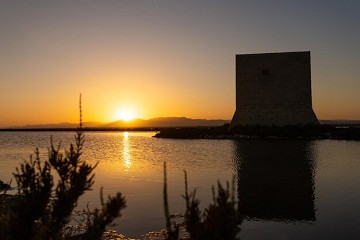 Zout en natuur in balans in Santa Pola - Van Dam Estates