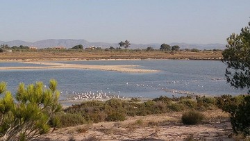 Zout en natuur in balans in Santa Pola - Van Dam Estates