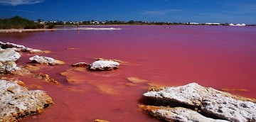 Zout en natuur in balans in Santa Pola - Van Dam Estates