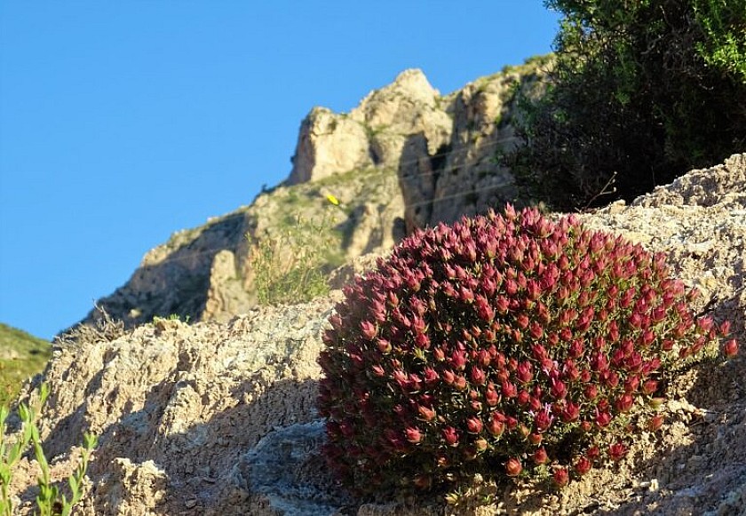 Crevillente en foco: naturaleza y cultura - Van Dam Estates