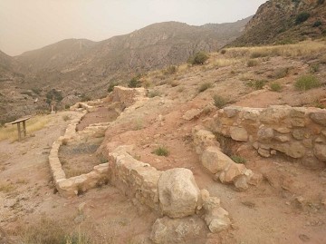 Crevillente en foco: naturaleza y cultura - Van Dam Estates